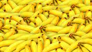 Imagem ilustrativa de bananas - Foto de  Pete Linforth no Pixabay