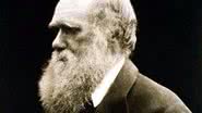 O naturalista e biólogo britânico Charles Darwin - Domínio Público via Wikimedia Commons