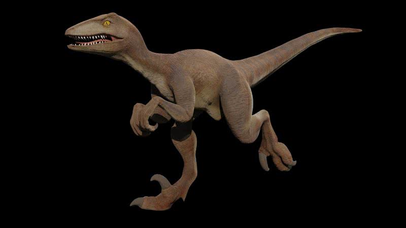 Imagem ilustrativa de velociraptor - Foto de  William McDonald  no Pixabay