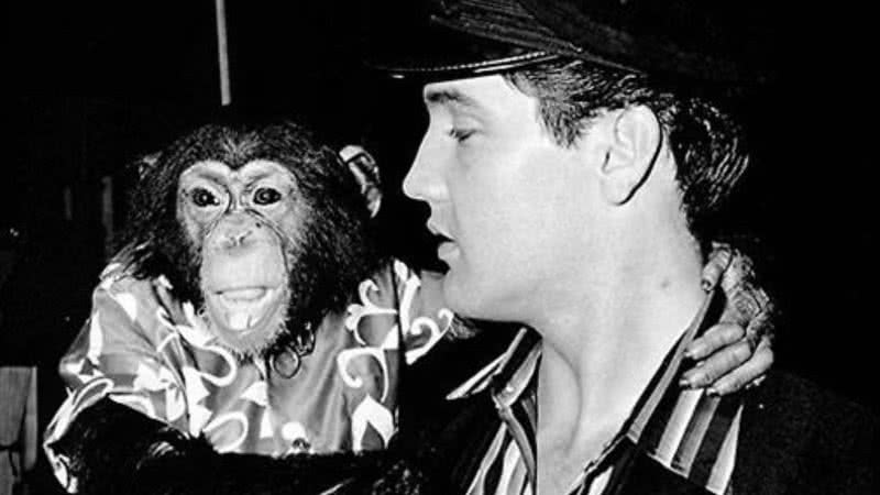 Elvis Presley e o macaco Scatter - Reprodução/ Redes Sociais / Twitter