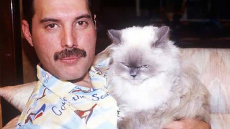 Freddie Mercury com sua gatinha Tiffany - Divulgação