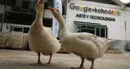 Estúdio da Google instalado em Havana que disponibiliza acesso à internet aos locais - Getty Images