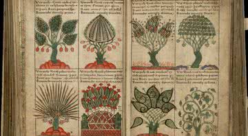 Página da Liber Floridus, enciclopédia medieval compilada entre 1090 e 1120 - Domínio Público