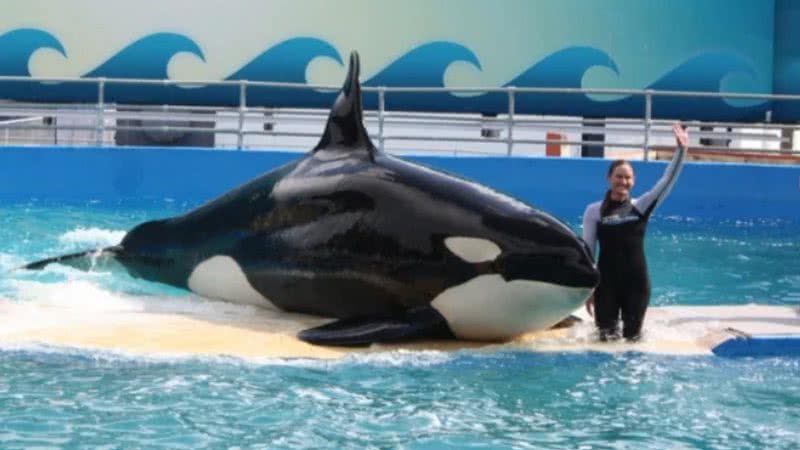 Foto de Lolita e treinadora - Divulgação/ Miami Seaquarium