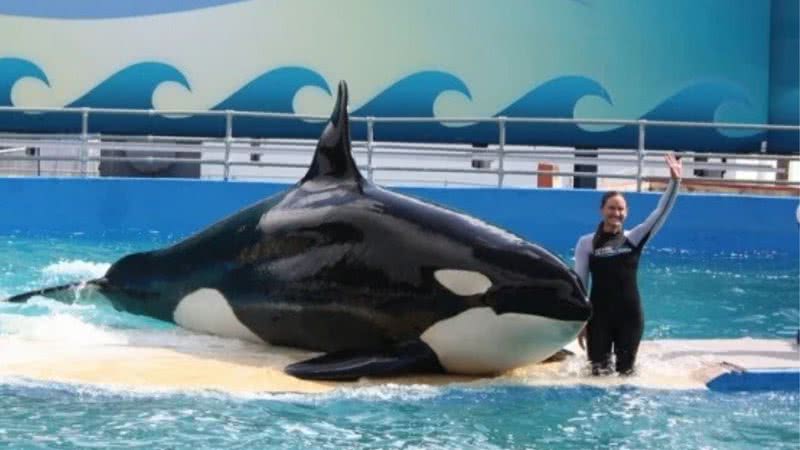 A orca Lolita - Miami Seaquarium/Divulgação