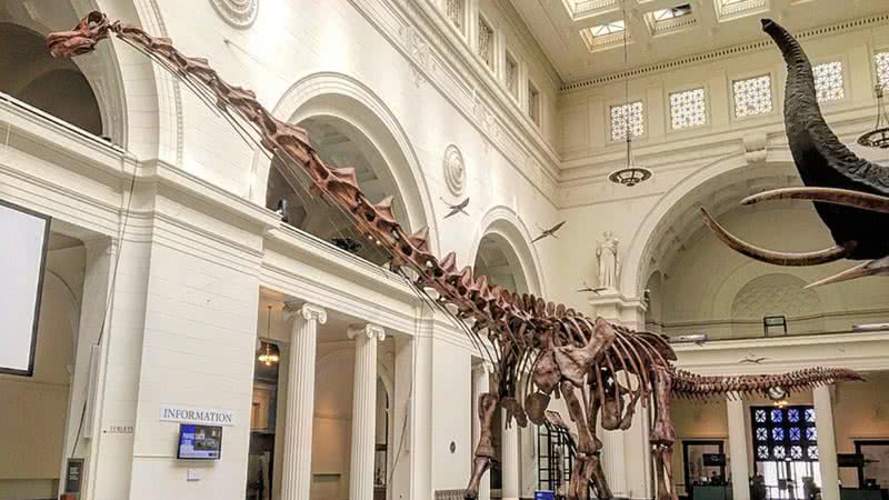 Réplica do esqueleto do Patagotitan, maior dinossauro já encontrado na história - Foto por Zissoudisctrucker pelo Wikimedia Commons