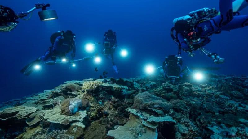 O recife de corais descoberto na ilha Taiti - Divulgação/UNESCO/Alexis Rosenfeld/1 Ocean