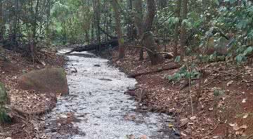 Fotografia do córrego citado - Divulgação/ EnviroWatch/ Carrol Cox