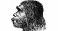 Reconstrução facial de um Homem de Neandertal - Wikimedia Commons