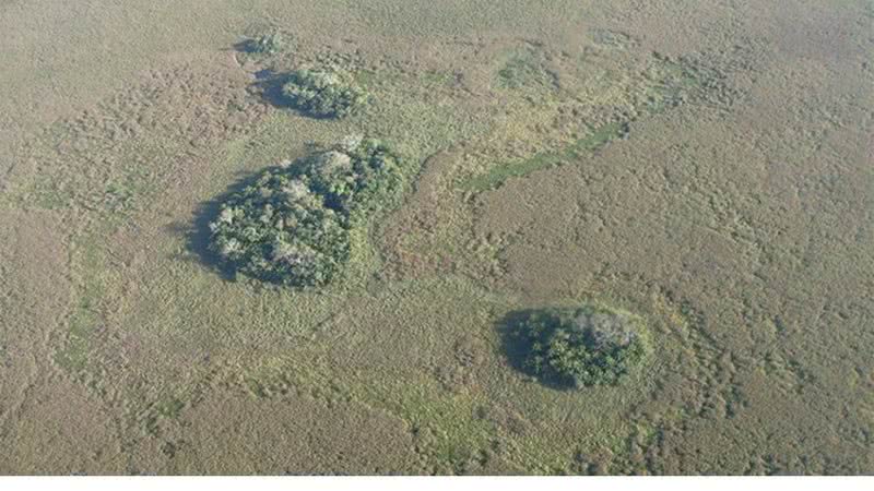 Ilhas florestais vistas de cima - Divulgação