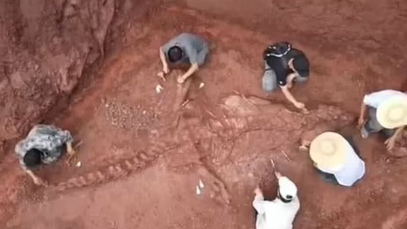 Esqueleto de dinossauro descoberto na China - Divulgação/AsiaWire