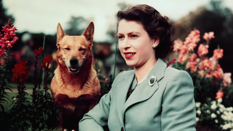 Rainha Elizabeth II ainda jovem, ao lado de um de seus muitos corgis - Divulgação