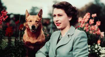 Rainha Elizabeth II ainda jovem, ao lado de um de seus muitos corgis - Divulgação