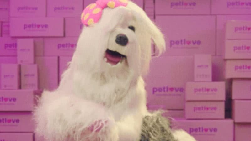 Priscila no comercial da Petlove - Divulgação/Youtube/Petlove