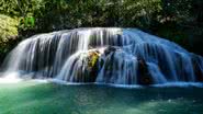 Rio Formoso, Bonito - (Imagem: Shutterstock)