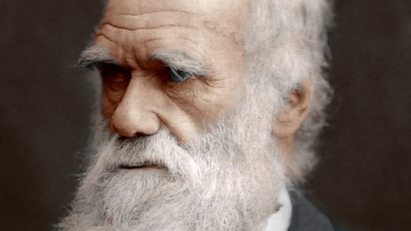 Charles Darwin - Getty Images