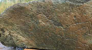 Pedra com a gravura do guerreiro picta encontrada - Universidade de Aberdeen