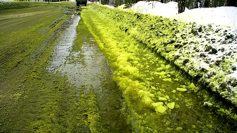 A neve verde nas ruas da cidade - Reprodução