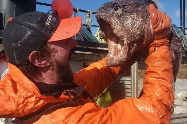 O pescador com o animal surpreendente - Divulgação/Facebook/Nathan Iszac