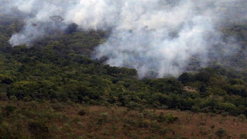 Queimada na Amazônia - Valter Campanato/Agência Brasil