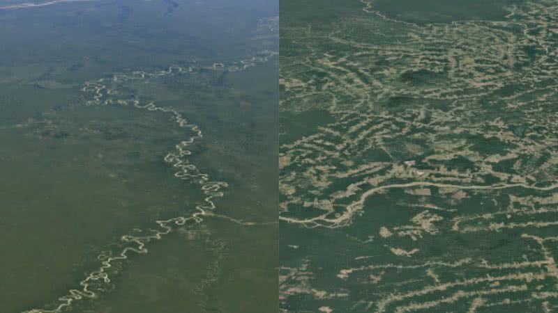 Fotografia da Amazônia em 1984, seguida de uma imagem do mesmo local tirada em 2020 - Divulgação/ Google Earth