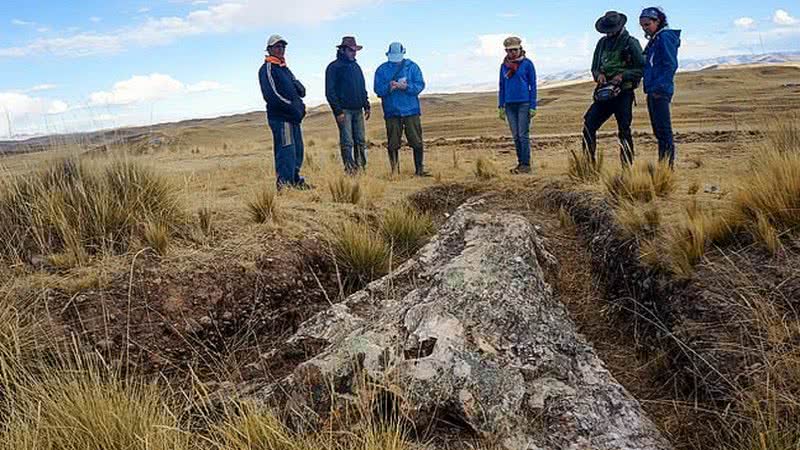 Imagem da árvore fossilizada encontrada no Peru - Divulgação/ Smithsonian Tropical Research Institute