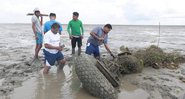 Restos do bombardeiro encontrado no Maranhão - Divulgação/Almir Praseres/Governo do Maranhão