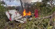 Avião que caiu no Mato Grosso - Divulgação