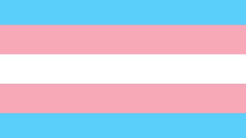 Bandeira trans - Wikimedia Commons