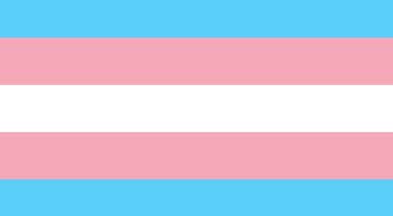 Bandeira que representa comunidade trans - Wikimedia Commons