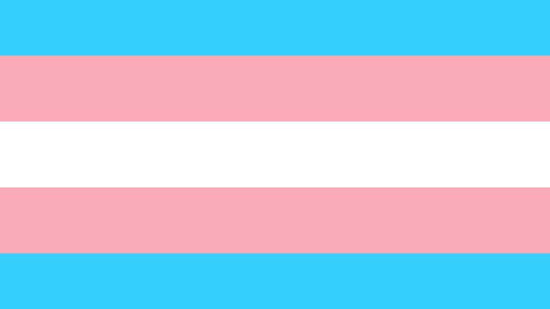 Imagem ilustrativa de bandeira trans - Foto de  Kat Love no Pixabay