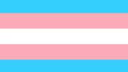 Imagem ilustrativa de bandeira trans - Foto de  Kat Love no Pixabay