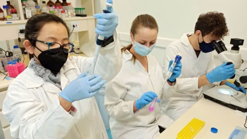 Pesquisadoras do Instituto Butantan atuando no Laboratório de Parasitologia - Murilo Sena Amaral/Fapesp