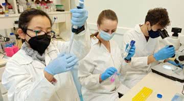 Pesquisadoras do Instituto Butantan atuando no Laboratório de Parasitologia - Murilo Sena Amaral/Fapesp