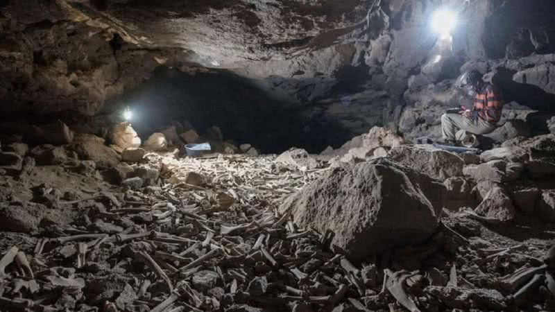 Ossos encontrados em caverna na Arábia Saudita - Divulgação/ Archaeological and Anthropological Sciences