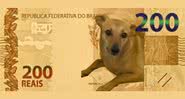 Sátira de cédula de R$ 200 com cachorro vira-lata caramelo - Divulgação