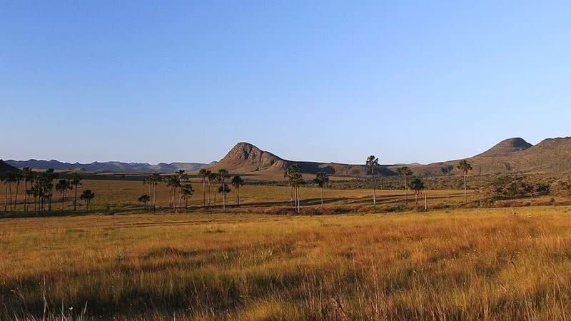 Imagem ilustrativa do cerrado brasileiro - Adelano Lázaro via Wikimedia Commons