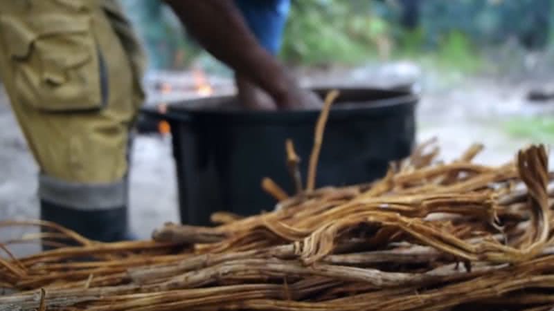 Preparo do chá Ayahuasca - Reprodução/YouTube/CanalHistoryBrasil