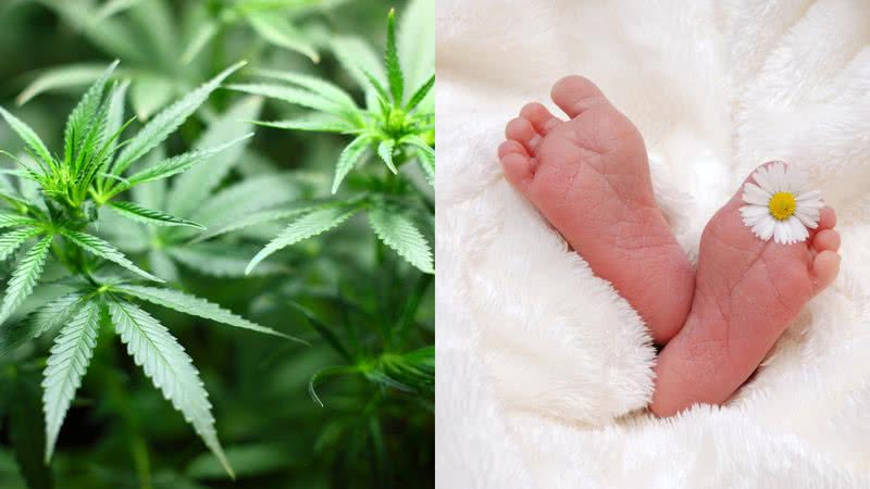 Imagens ilustrativas de maconha e de bebê - Foto de 7raysmarketing e kelin, via Pixabay