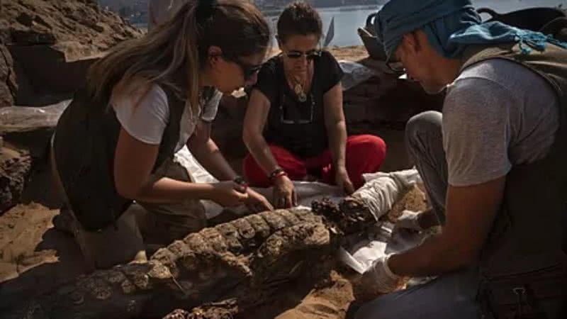 Arqueólogos trabalham com um dos crocodilos descobertos - Divulgação / Patricia Mora