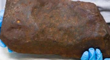 Meteorito encontrado na Austrália - Divulgação / Museums Victoria