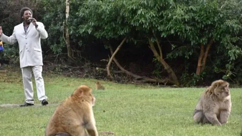 O artista Dave Largie ao lado dos animais - Divulgação / Trentham Monkey Forest