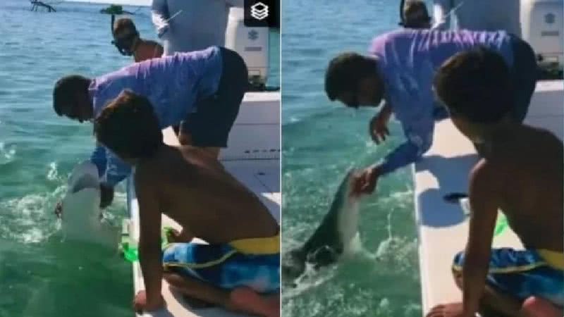 Pescador tentou agarrar tubarão - Divulgação / TikTok