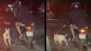 Cão foi agredido e obrigado a correr junto a moto - Divulgação / Praia Grande no Grau