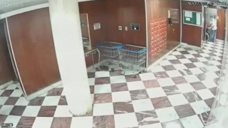 Mãe e filho foram mortos e retirados do apartamento em cadeira de rodas - Divulgação / Polícia Civil