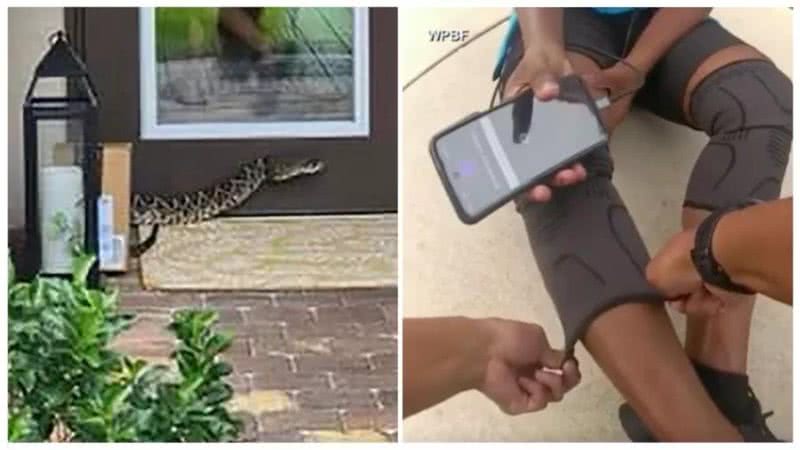 Entregadora foi mordida por cobra - Divulgação/ABC News/Martin County Sheriff's Office