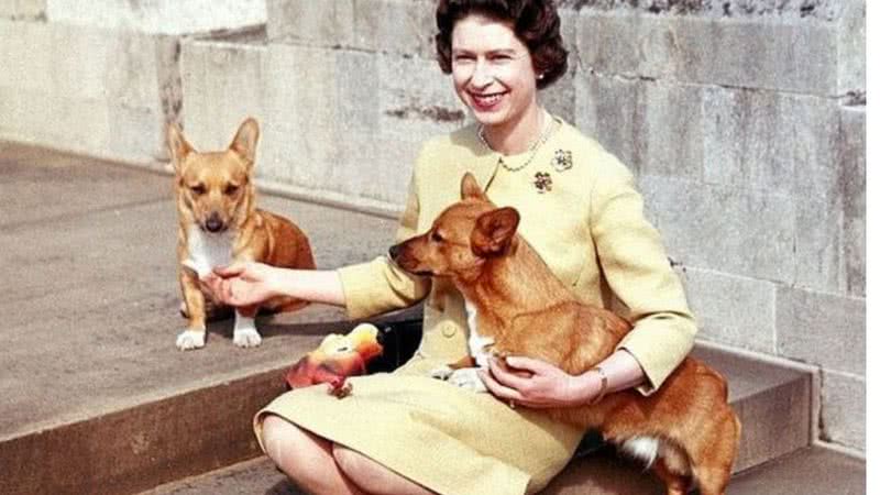 Fotografia de Elizabeth com corgis - Divulgação