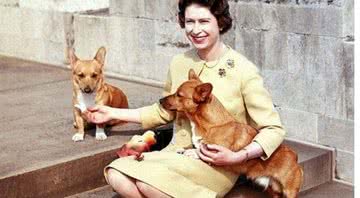 Fotografia de Elizabeth com corgis - Divulgação