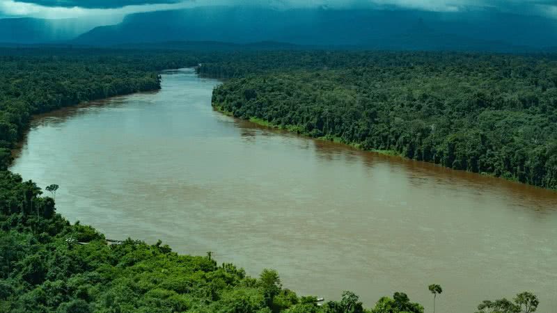 Imagem da Amazônia tirada por um helicóptero - Getty Images