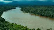 Imagem da Amazônia tirada por um helicóptero - Getty Images